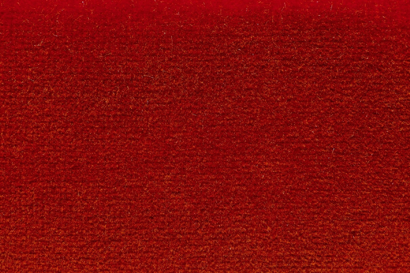 FL-9901-31